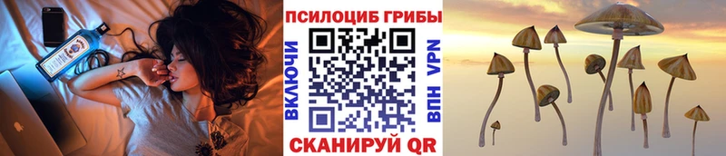 Псилоцибиновые грибы мухоморы  Щёлкино 