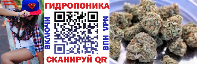 OMG вход  где купить наркотик  Щёлкино  Бошки марихуана тримм 